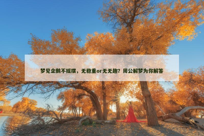 梦见企鹅不摇摆，无稳重or无无趣？周公解梦为你解答