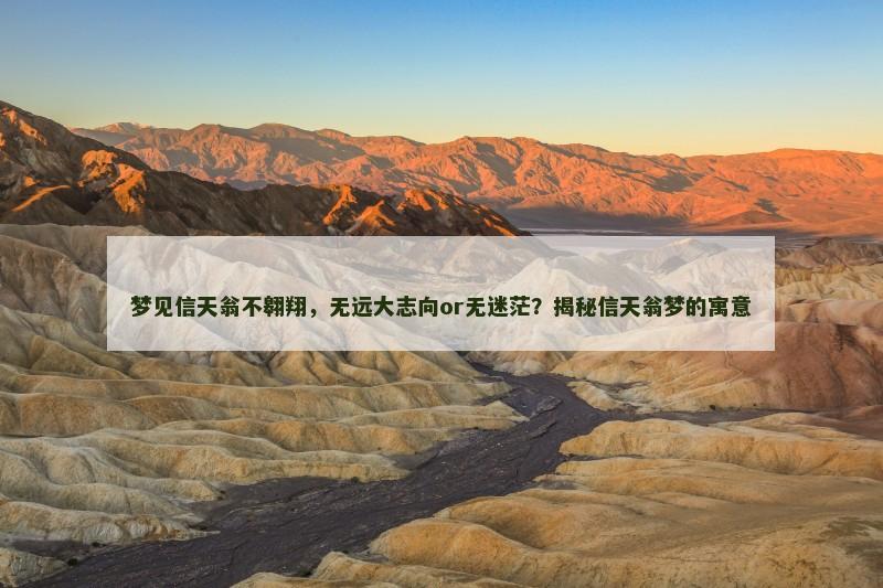 梦见信天翁不翱翔，无远大志向or无迷茫？揭秘信天翁梦的寓意
