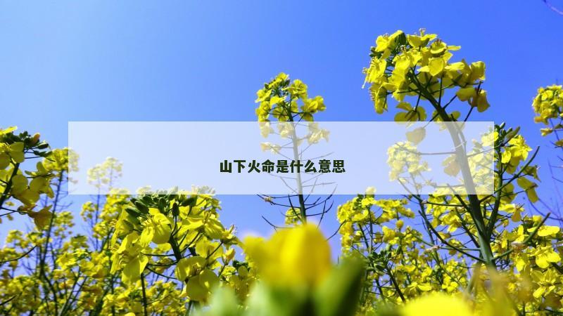 山下火命是什么意思
