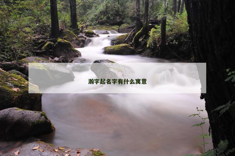 瀚字起名字有什么寓意