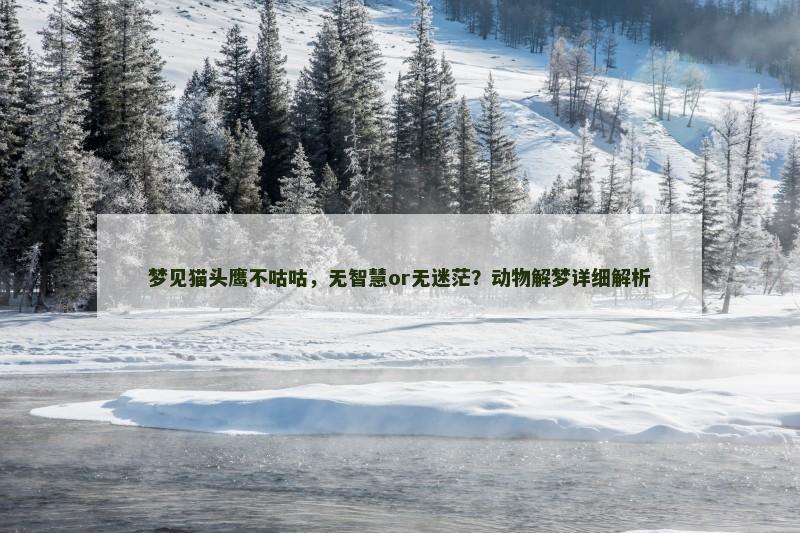梦见猫头鹰不咕咕，无智慧or无迷茫？动物解梦详细解析