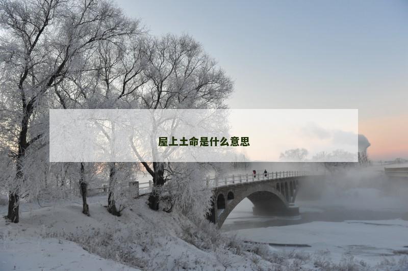 屋上土命是什么意思