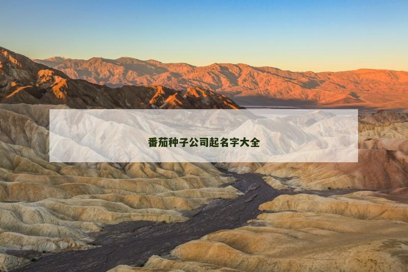 番茄种子公司起名字大全