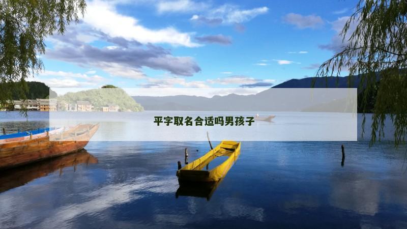 平字取名合适吗男孩子