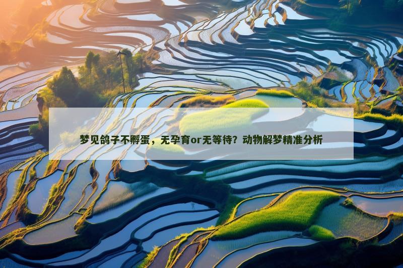 梦见鸽子不孵蛋，无孕育or无等待？动物解梦精准分析