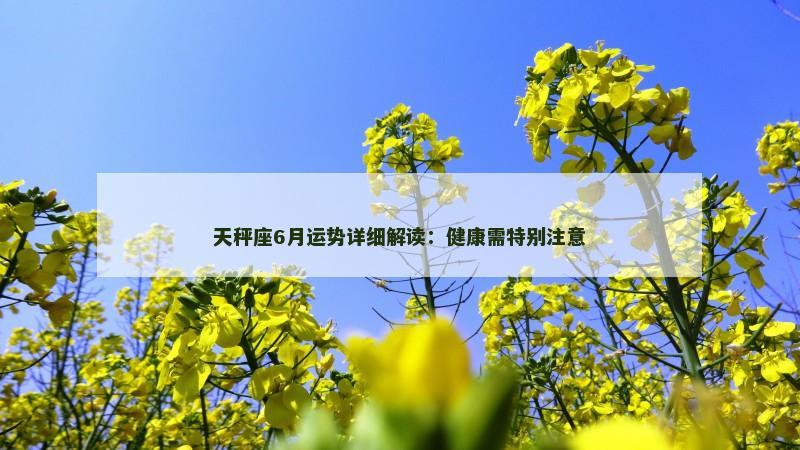 天秤座6月运势详细解读：健康需特别注意