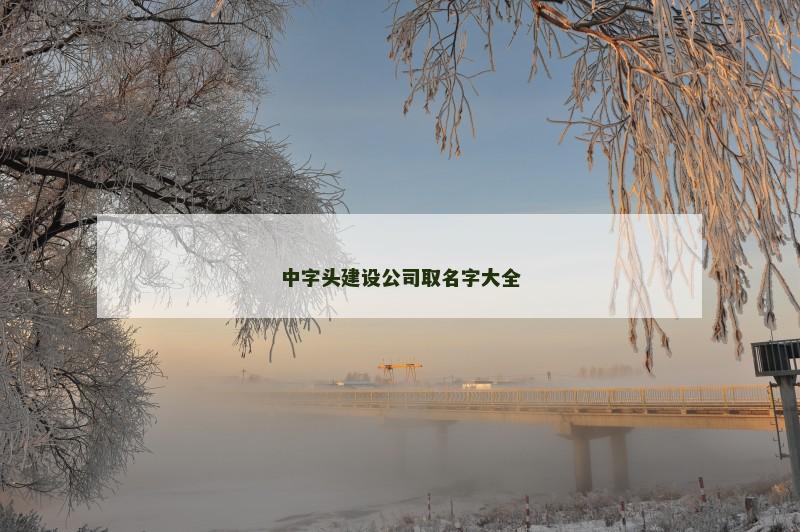中字头建设公司取名字大全